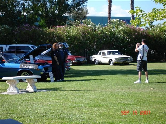 DSC09276 Large Small