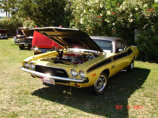 DSC09295 Large Small