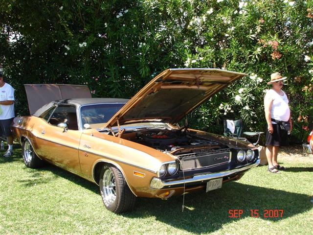 DSC09297 Large Small