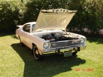 DSC09307 Large Small