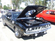 Best Of Show DSCF2686  Small 