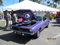 IMG 2902  Small 