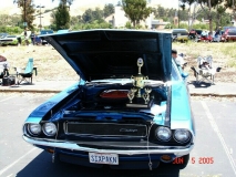 BEST OF SHOW 2005